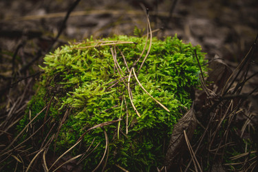 Similar image 8636170