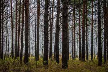 Similar image 8636172