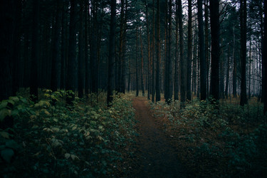 Similar image 8636174