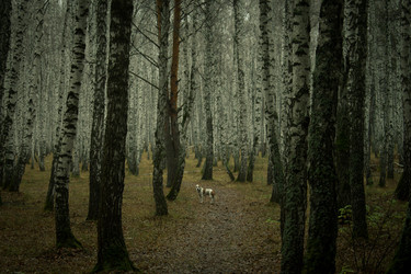 Similar image 8636177