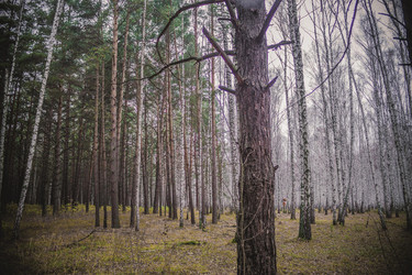 Similar image 8636180