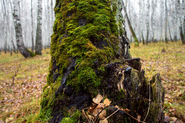 Similar image 8636189