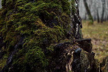 Similar image 8636191