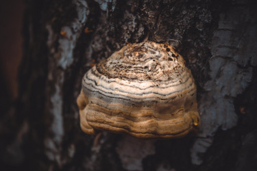 Similar image 8636198