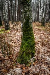 Similar image 8636200