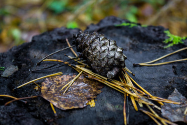 Similar image 8636202