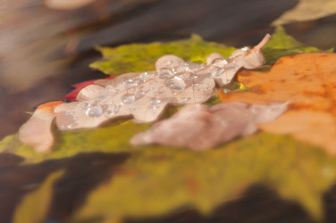 Similar image 8647289