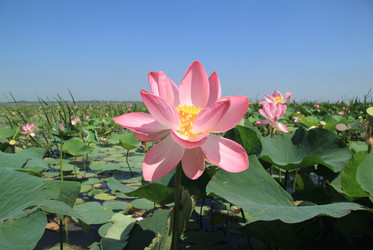 Similar image 8647300