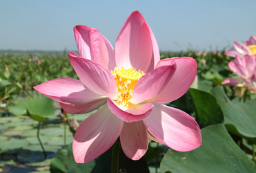 Similar image 8647301