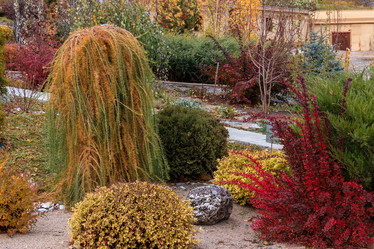 Similar image 8647375