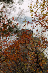 Similar image 8647389