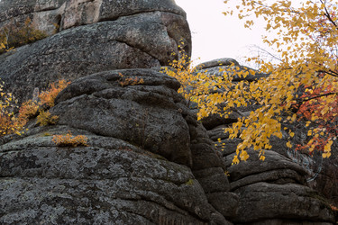 Similar image 8647392