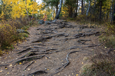 Similar image 8647396