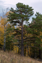 Similar image 8647399