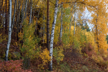 Similar image 8647400