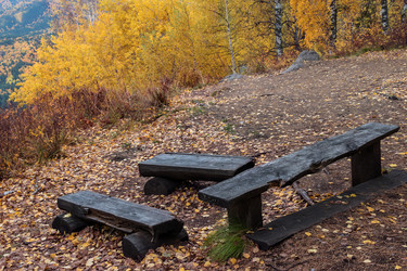 Similar image 8647401