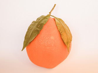 Similar image 8647600