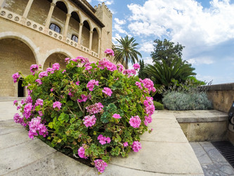 Similar image 8647687