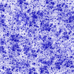 Similar image 8647748