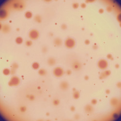 Similar image 8647769