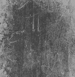 Similar image 8647858