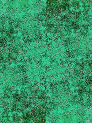 Similar image 8648072