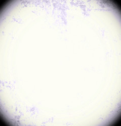 Similar image 8648085