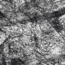 Similar image 8648256