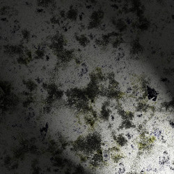 Similar image 8648307