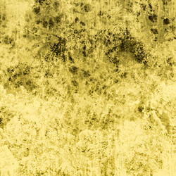 Similar image 8648351