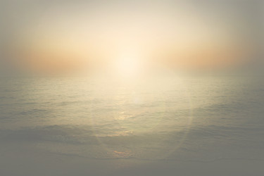 Similar image 8648499