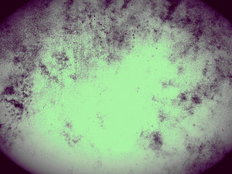 Similar image 8648510