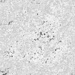 Similar image 8648671