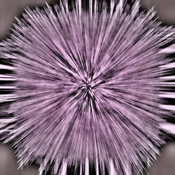 Similar image 8648688