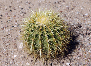 Similar image 8649784