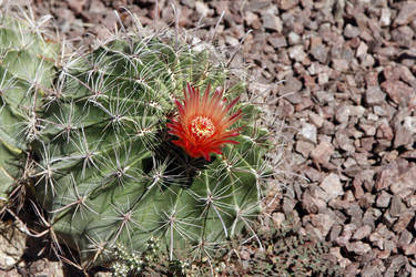 Similar image 8649785