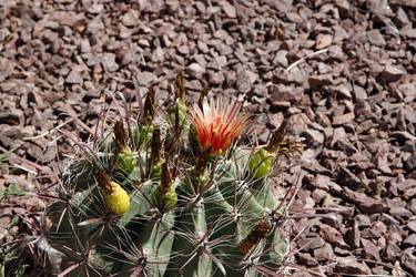 Similar image 8649787