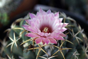 Similar image 8649788