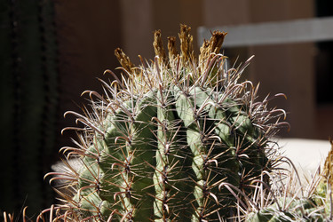 Similar image 8649789