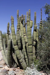 Similar image 8649790