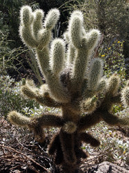 Similar image 8649791