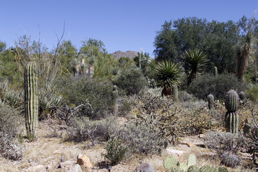 Similar image 8649792