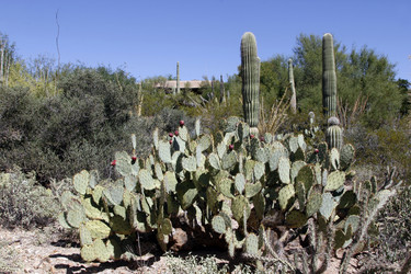 Similar image 8649793