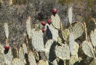 Similar image 8649804