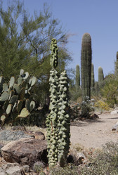 Similar image 8649805