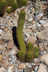 Similar image 8649806