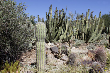 Similar image 8649807