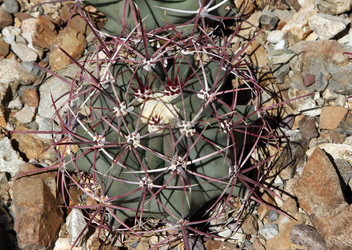 Similar image 8649808