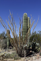 Similar image 8649809