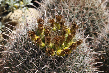 Similar image 8649810